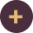 Toggle Icon